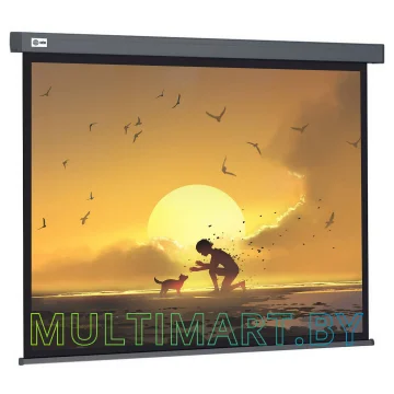 Проекционный экран CACTUS Wallscreen CS-PSW-124X221-SG